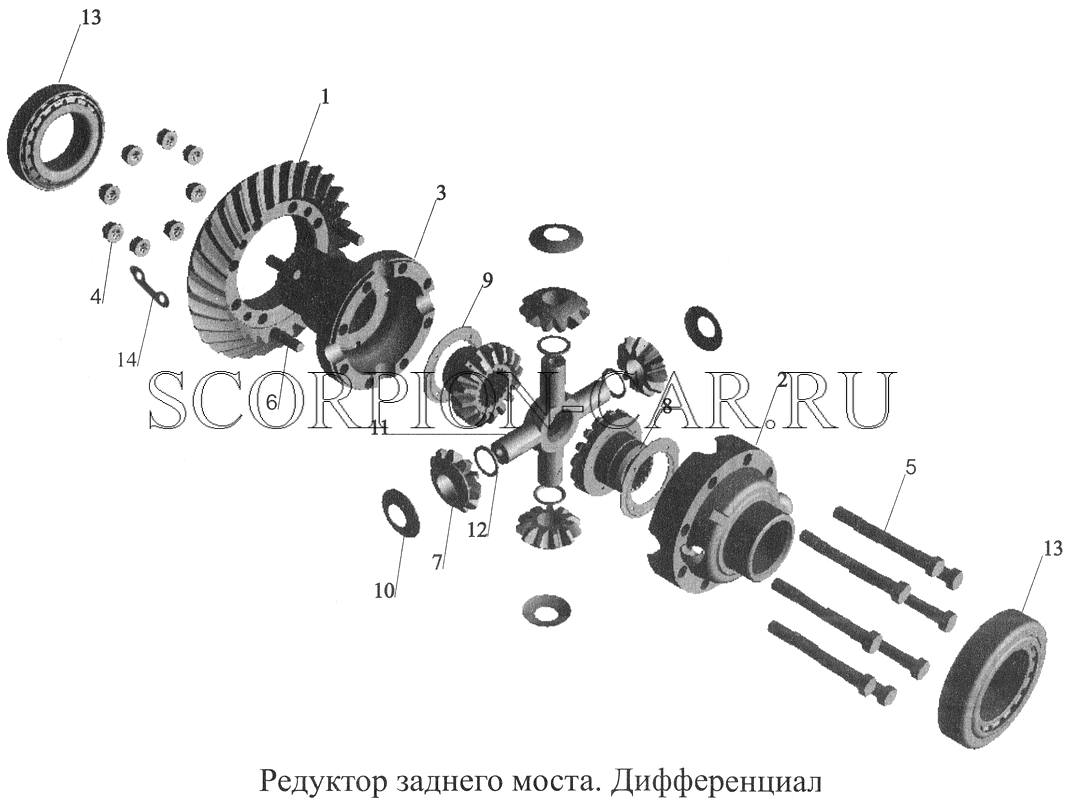 РЕДУКТОР ЗАДНЕГО МОСТА. ДИФФЕРЕНЦИАЛ 555142