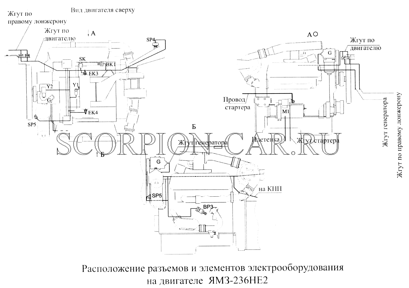 РАСПОЛОЖЕНИЕ РАЗЪЕМОВ И ЭЛЕМЕНТОВ ЭЛЕКТРООБОРУДОВАНИЯ НА ДВИГАТЕЛЕ ЯМЗ-236НЕ2 МАЗ 555102 555102