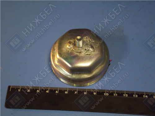 22173103063 | 2217-00-3103063-000 Колпачок ступицы 2217 (ГАЗ) (Оригинал)
