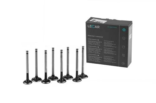 LECAR010020902 | LECA-0R-0100209-002 Клапан 2101-07,2121-21214,2123 (к-т) 